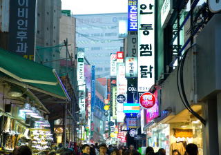 韓国調査サービス